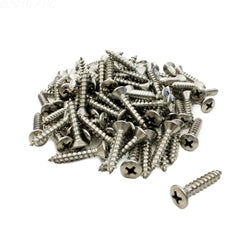 Fiberglass In Ground Stainless Steel Replacement Screw Kit