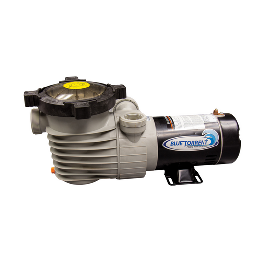 1.0 HP Hurricane Dual Port Pool Pump with Switch