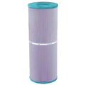 Dynamic Series I & II RDC-25, Waterway 25 In Line Platinum Purple