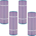 Pentair Clean & Clear Plus 320, Waterway Crystal Water 325 Platinum Purple (4PK)