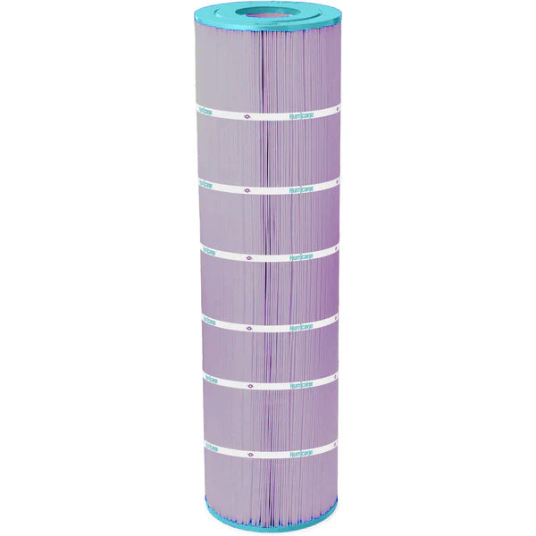 Jandy Industries CS200 Platinum Purple