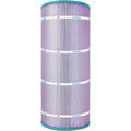 Pentair Clean & Clear 100, Predator 100 Platinum Purple