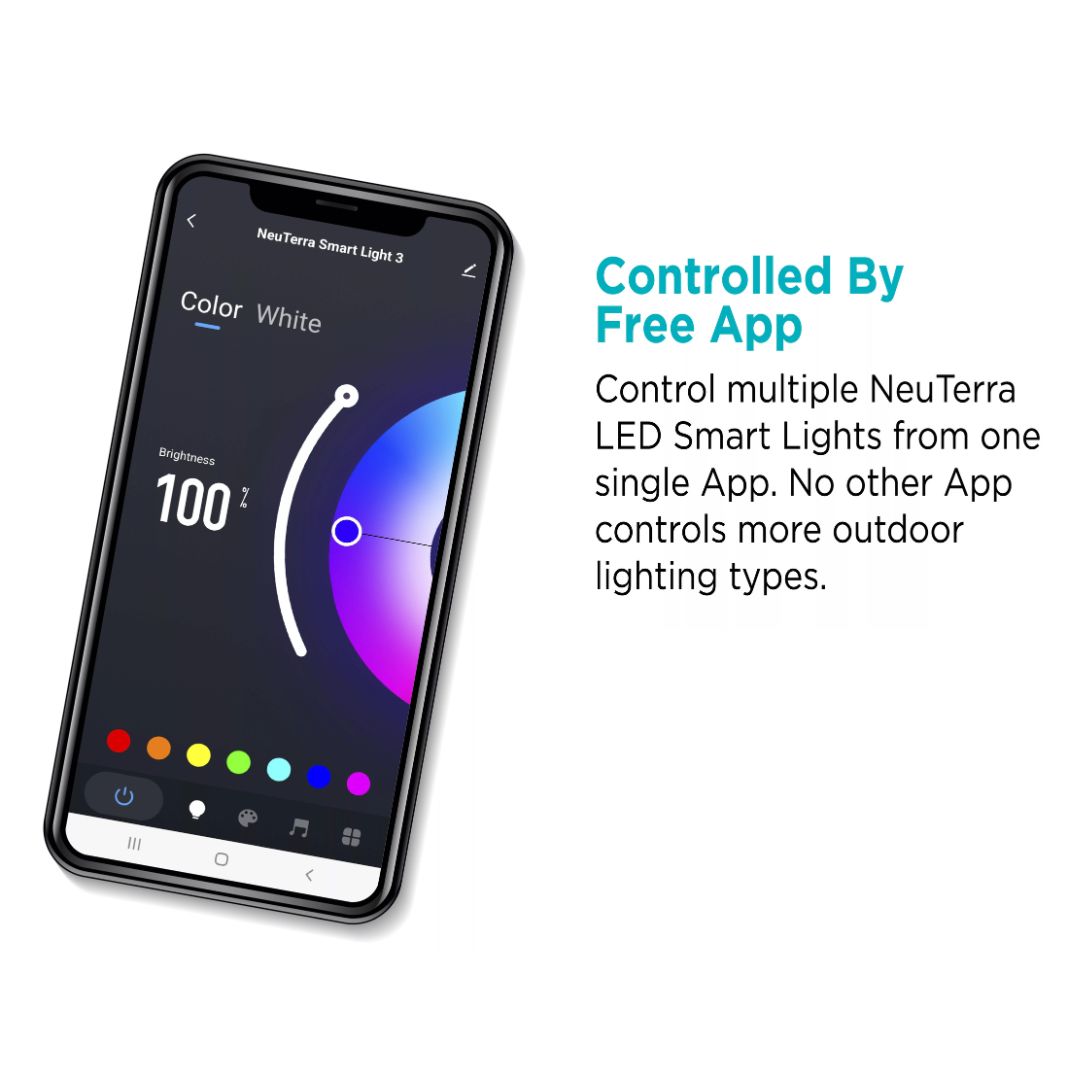 NeuTerra Complete Lighting System