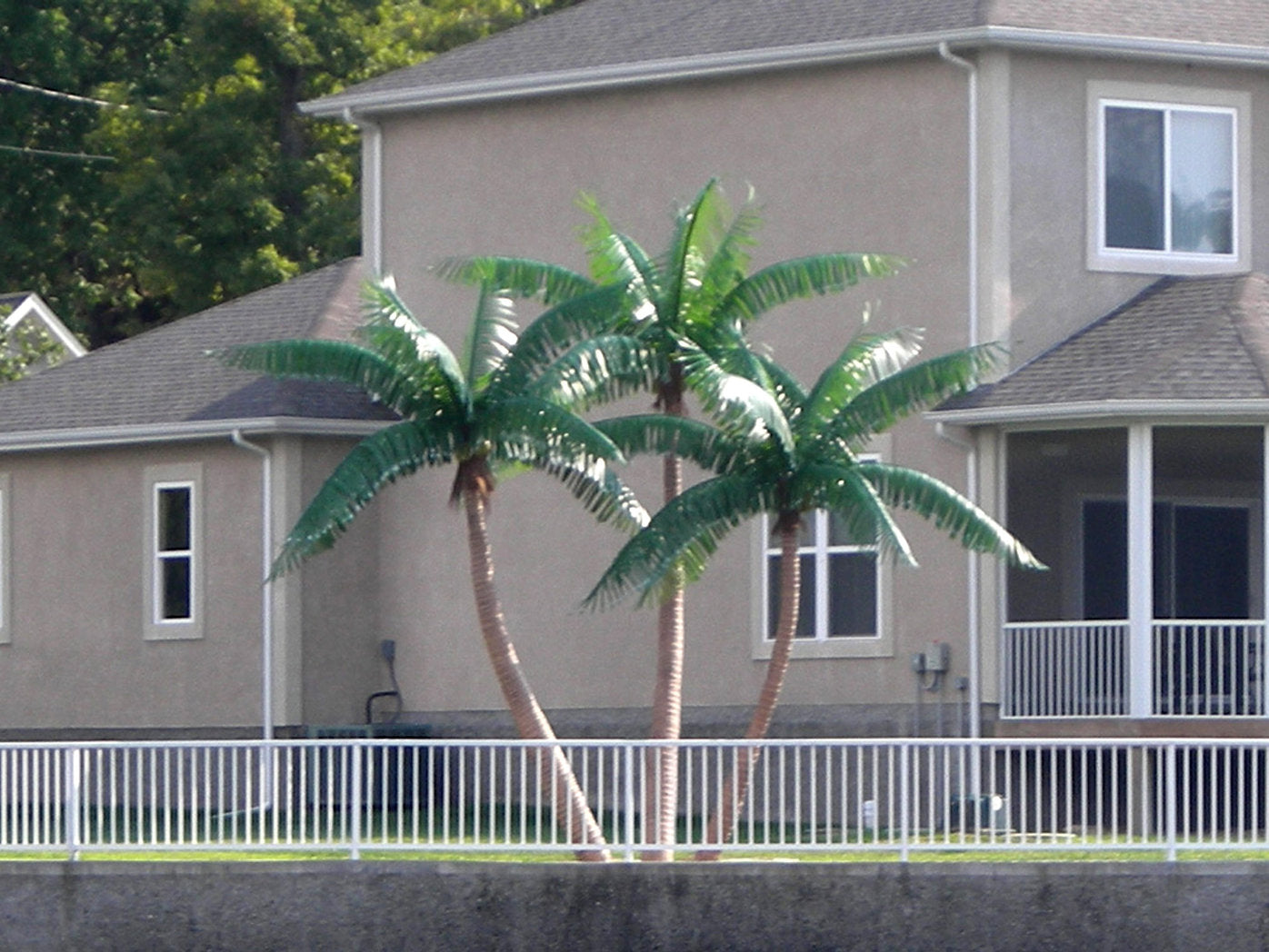Island Breeze Palm Trees | Groupings