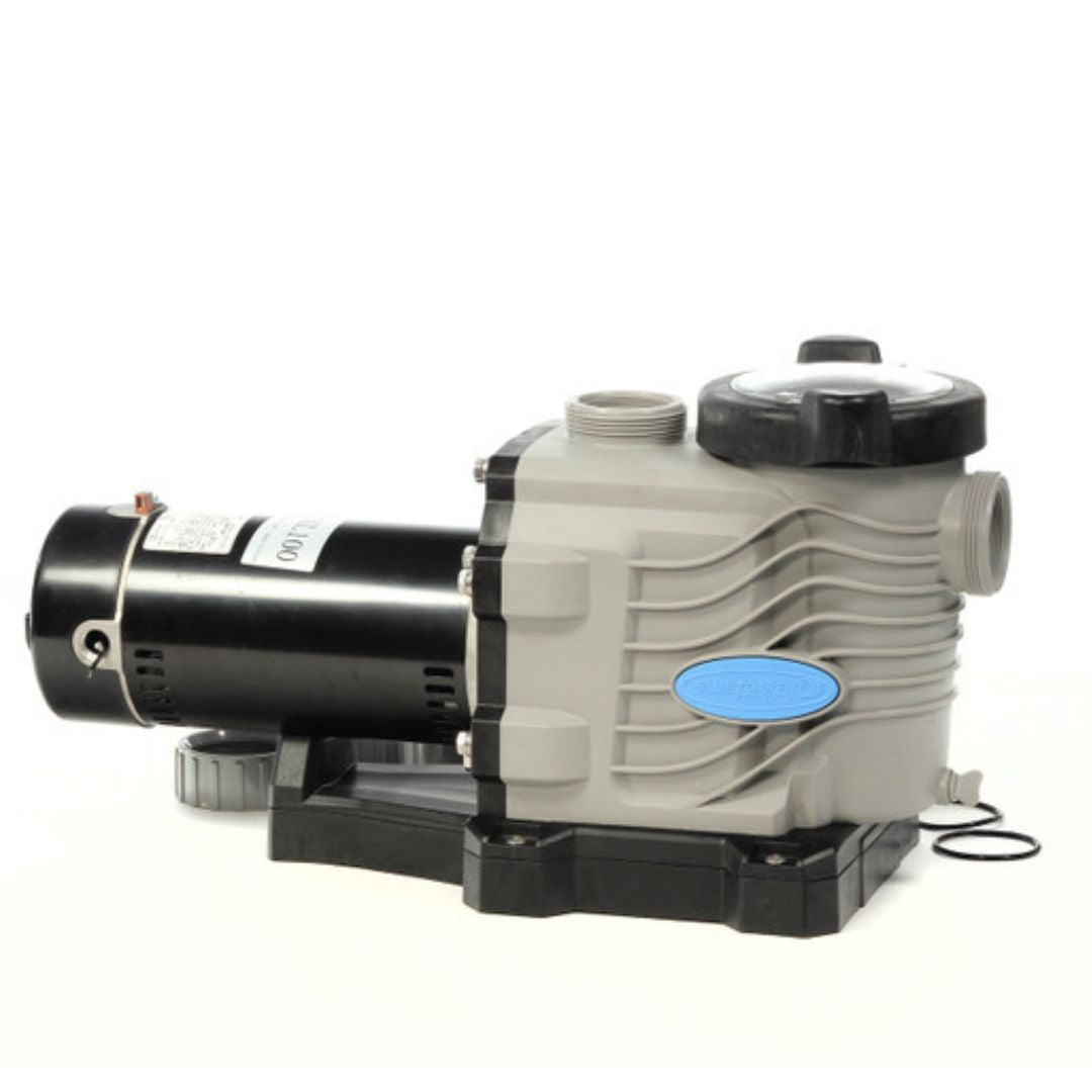 1.5 HP Blue Torrent Hi-Speed Pump