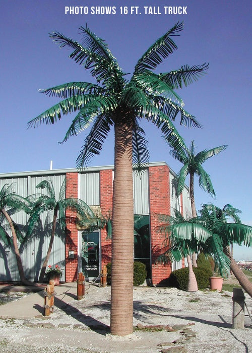 Single Royal Majestic Palm Tree | Sizes 10 ft. - 16 ft.